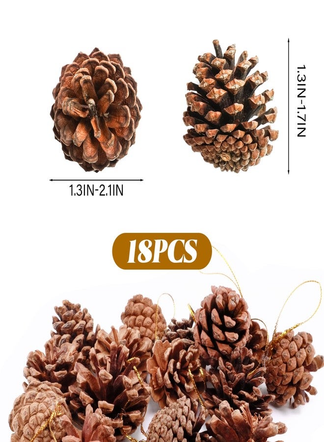 Lukinuo Hanging Natural Pine Cones 18pcs Christmas Pine Cones Crafts Ornaments Natural Rustic Pinecones Bulk Ornament for DIY Pinecone Vase Fillers Fall Winter Home Christmas Tree Decor - Image 2